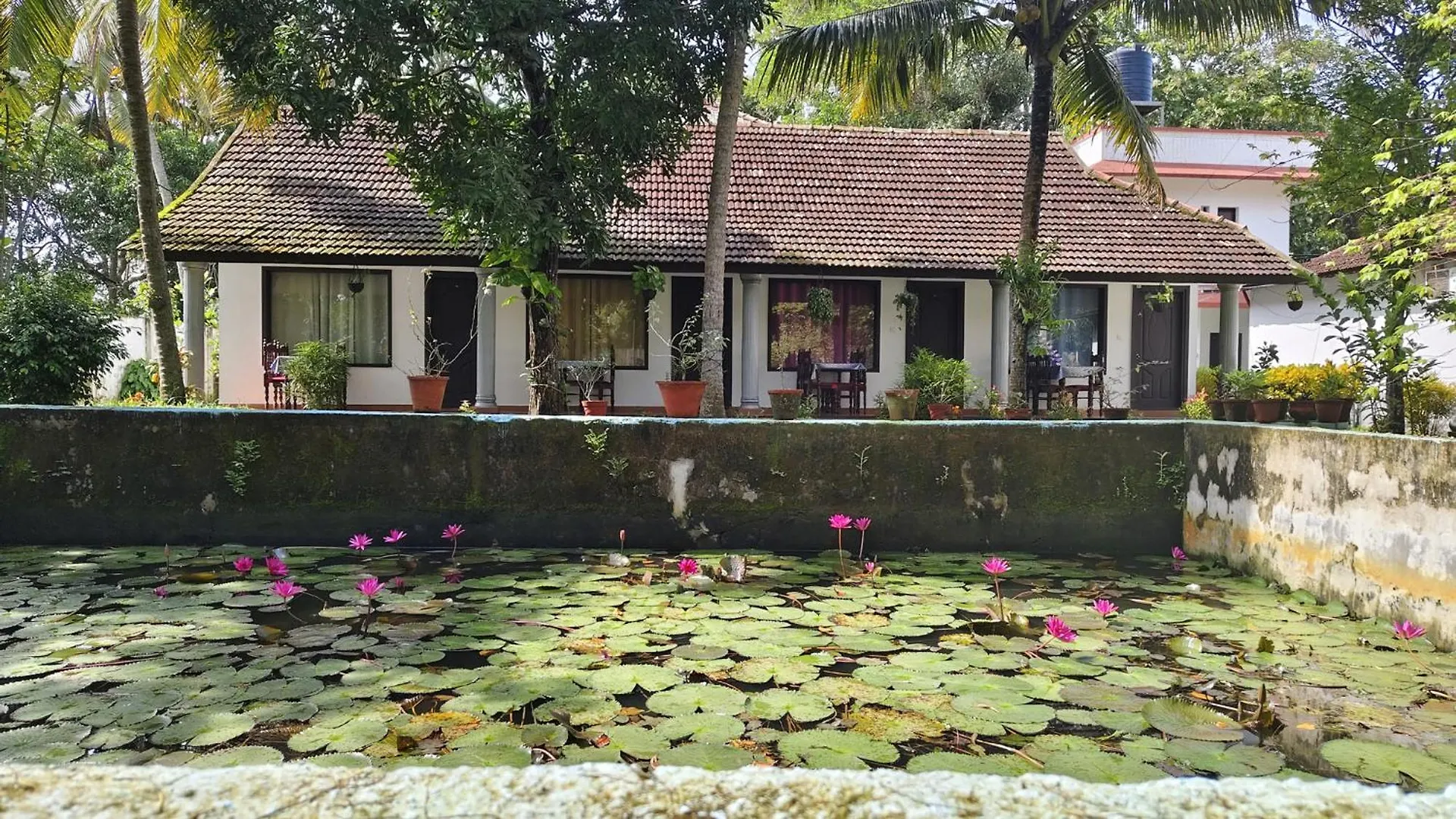 Homestay Rithu Beach Villa Alappuzha India